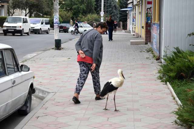 Від Тарнополя до Тернополя