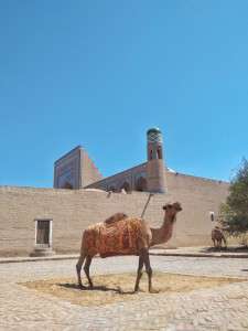 Від Тарнополя до Тернополя