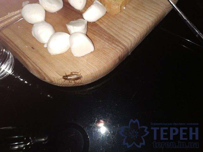 Від Тарнополя до Тернополя