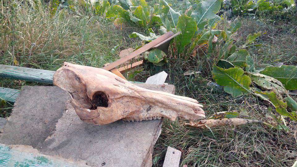 Від Тарнополя до Тернополя