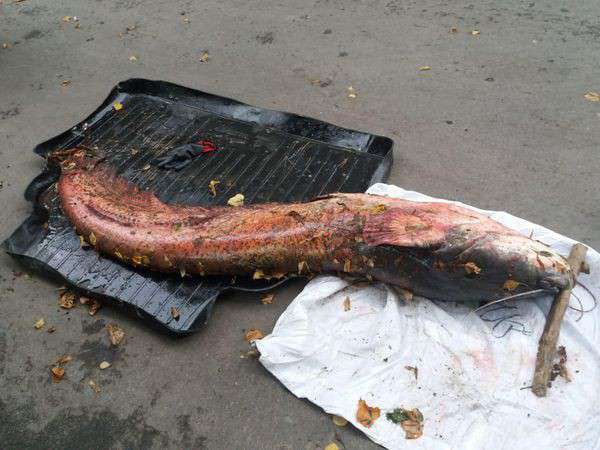 Від Тарнополя до Тернополя