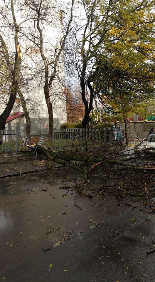 Від Тарнополя до Тернополя