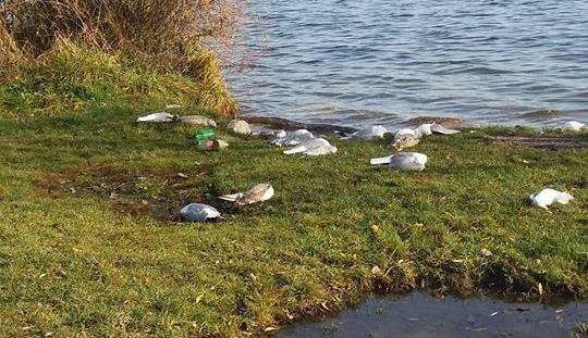 Від Тарнополя до Тернополя