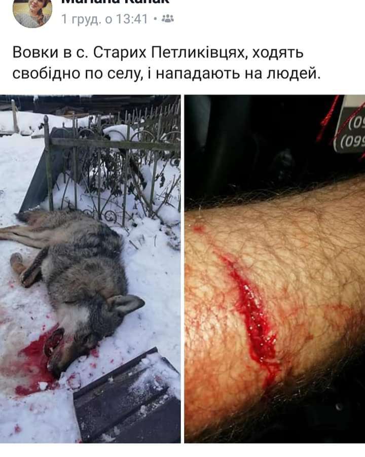 Від Тарнополя до Тернополя