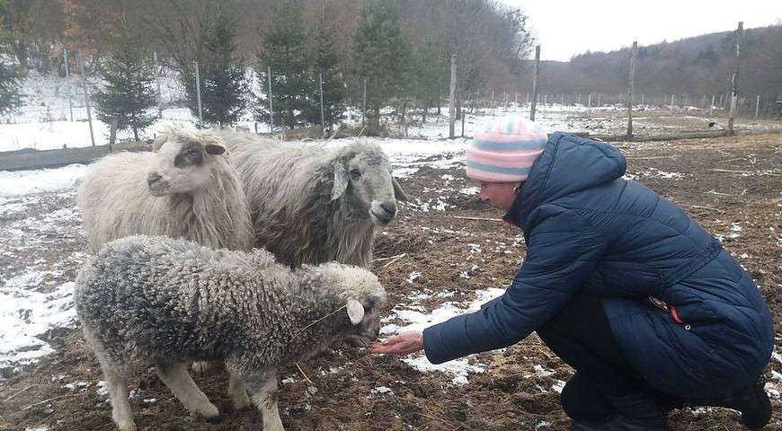 Від Тарнополя до Тернополя