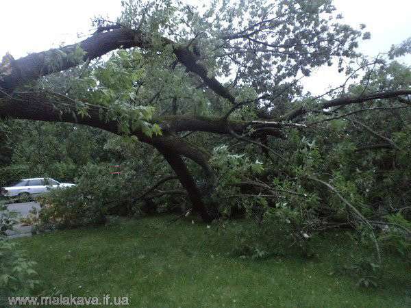 Від Тарнополя до Тернополя