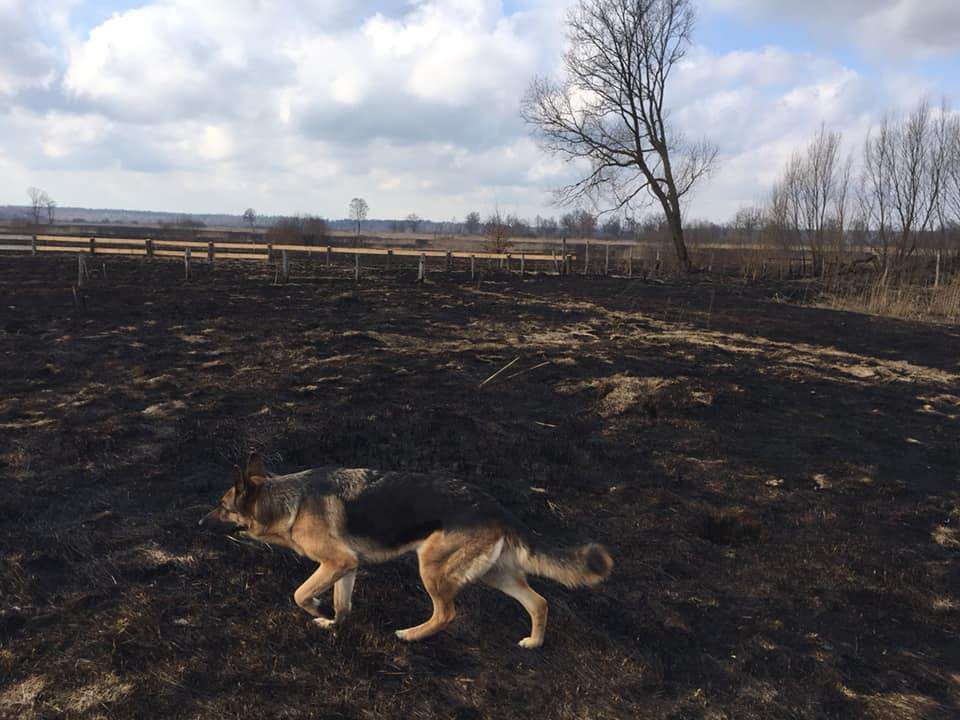 Від Тарнополя до Тернополя