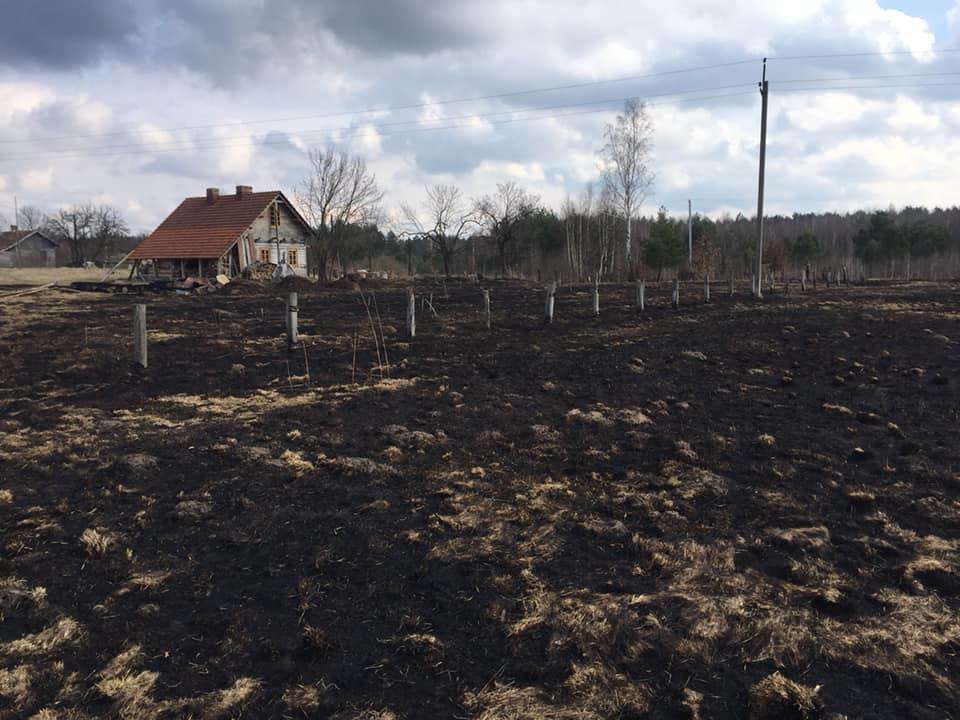 Від Тарнополя до Тернополя