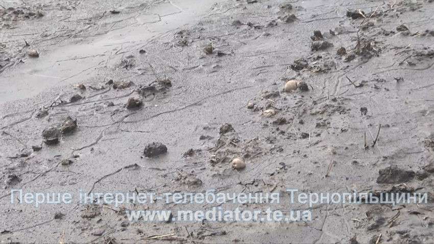 Від Тарнополя до Тернополя