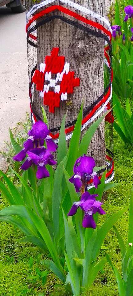 Від Тарнополя до Тернополя