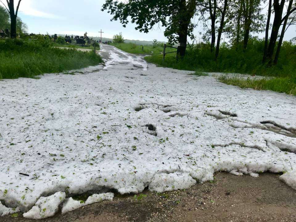 Від Тарнополя до Тернополя