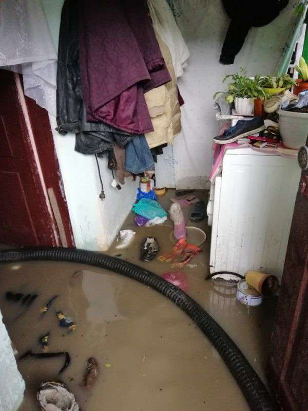 Від Тарнополя до Тернополя