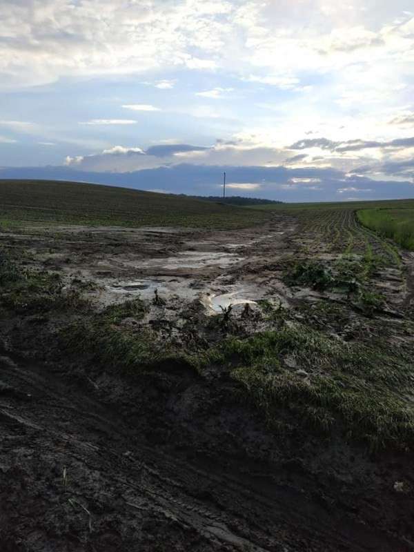 Від Тарнополя до Тернополя