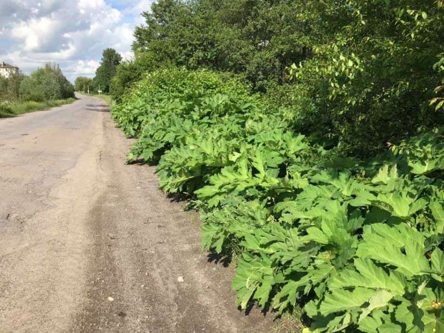 Від Тарнополя до Тернополя