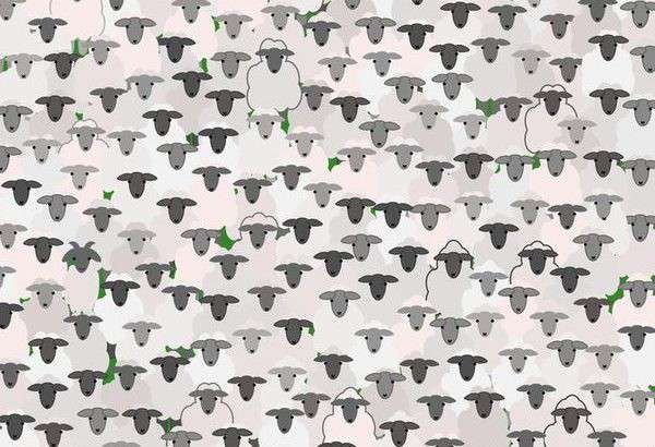 Від Тарнополя до Тернополя