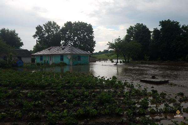 Від Тарнополя до Тернополя