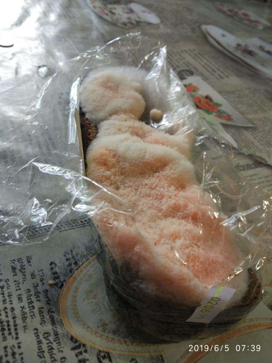 Від Тарнополя до Тернополя