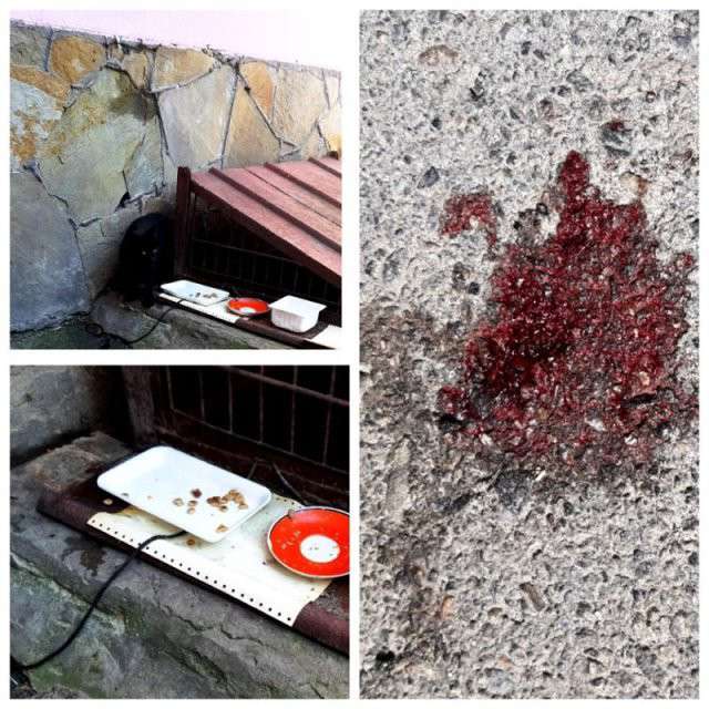 Від Тарнополя до Тернополя