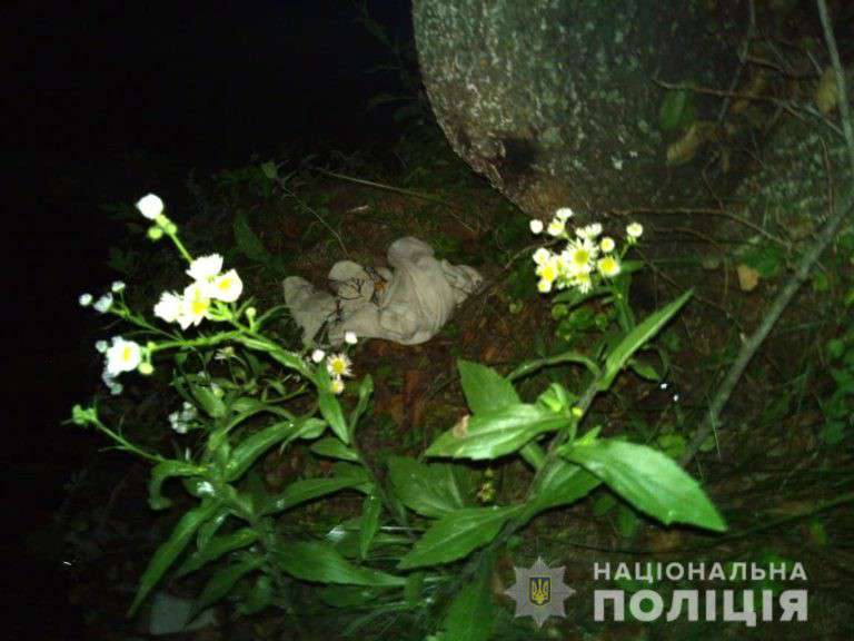 Від Тарнополя до Тернополя