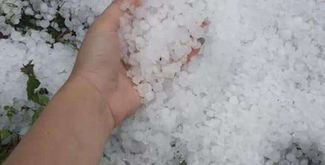 Від Тарнополя до Тернополя