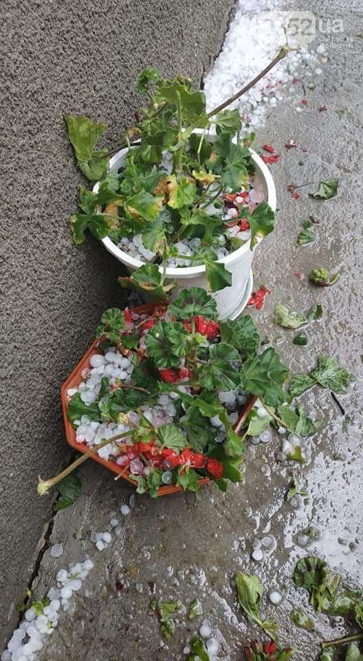 Від Тарнополя до Тернополя