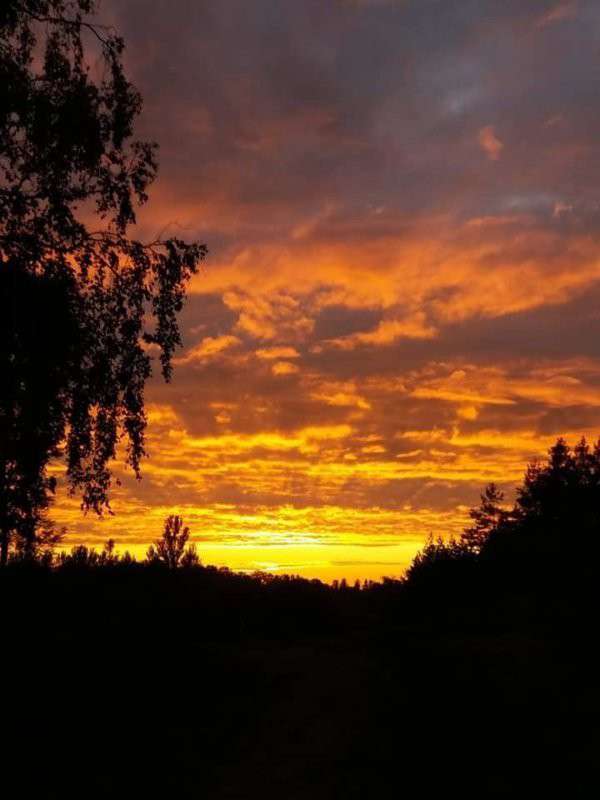 Від Тарнополя до Тернополя