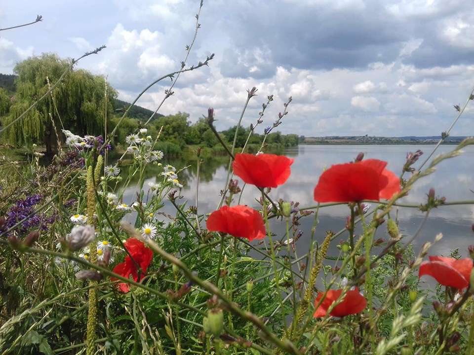 Від Тарнополя до Тернополя