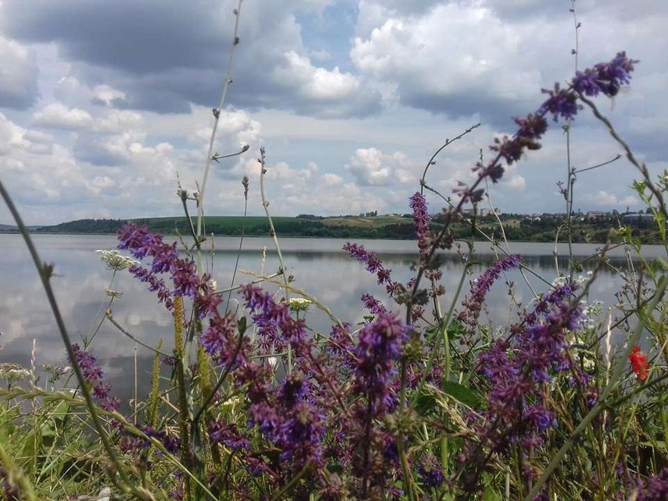 Від Тарнополя до Тернополя