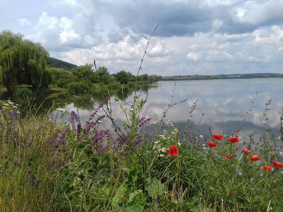 Від Тарнополя до Тернополя