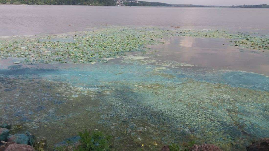 Від Тарнополя до Тернополя
