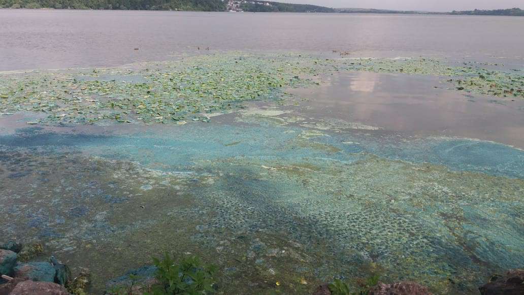 Від Тарнополя до Тернополя
