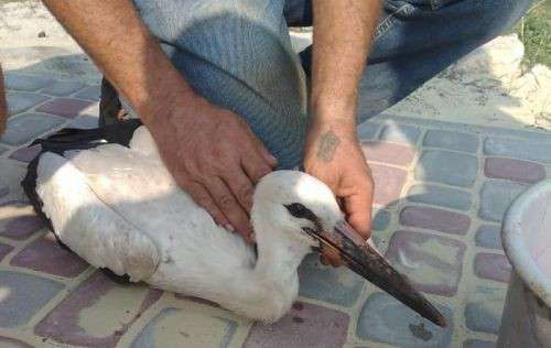 Від Тарнополя до Тернополя