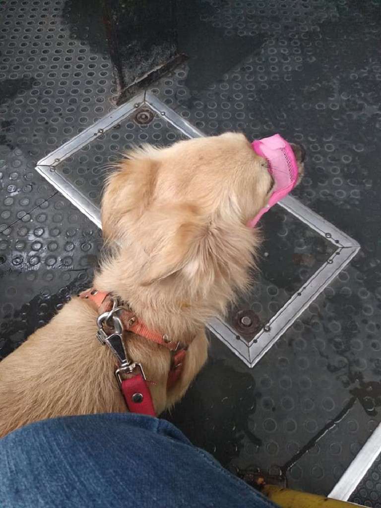 Від Тарнополя до Тернополя