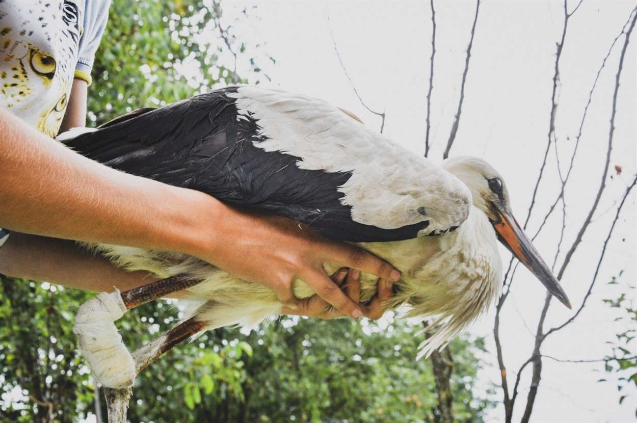 Від Тарнополя до Тернополя