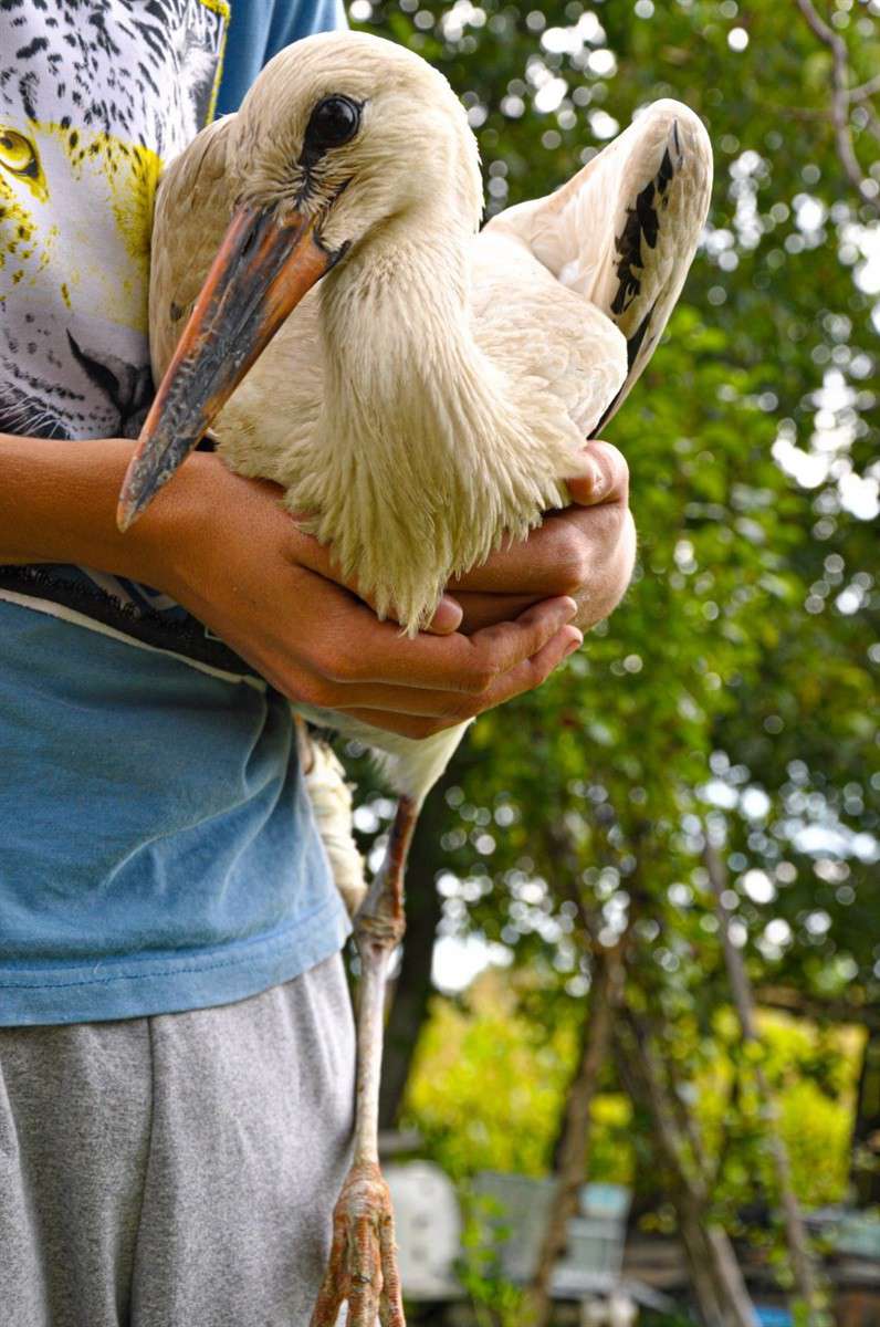 Від Тарнополя до Тернополя