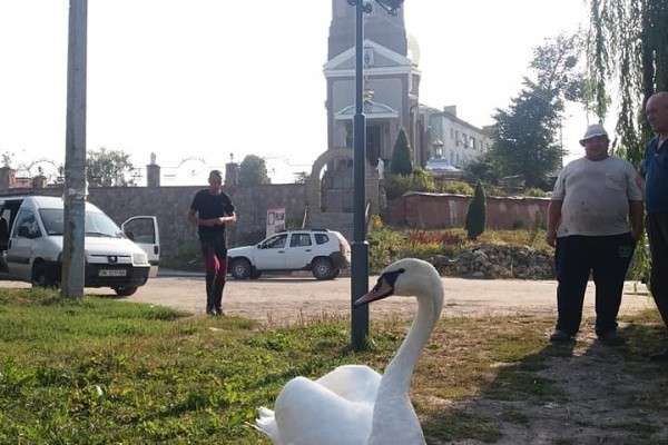 Від Тарнополя до Тернополя