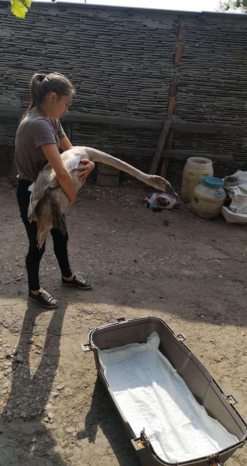 Від Тарнополя до Тернополя