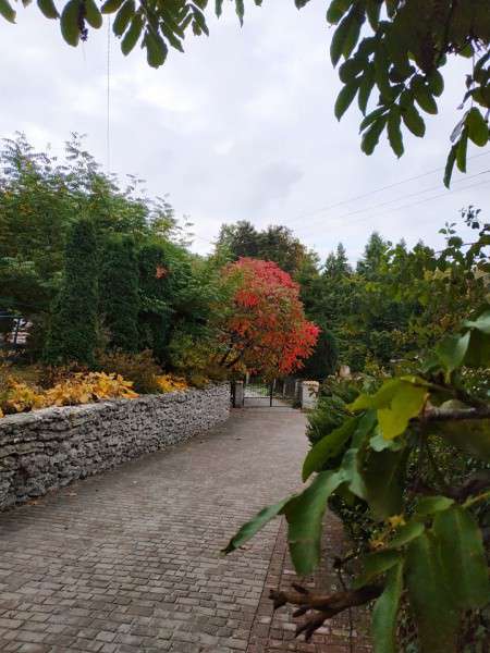 Від Тарнополя до Тернополя