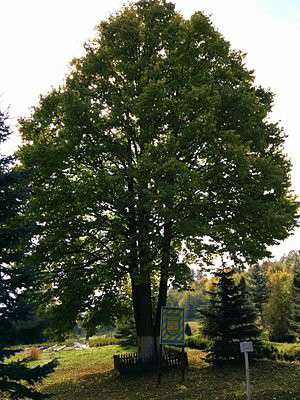 Від Тарнополя до Тернополя