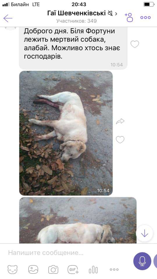 Від Тарнополя до Тернополя