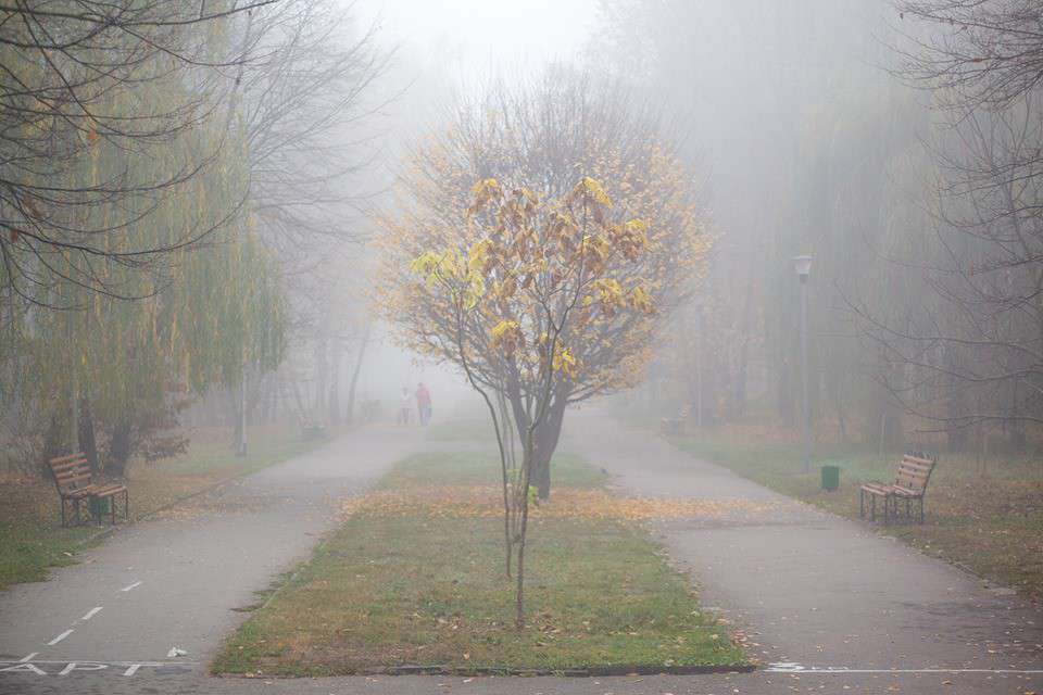 Від Тарнополя до Тернополя