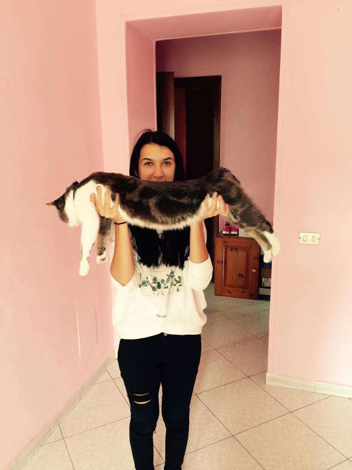 Від Тарнополя до Тернополя