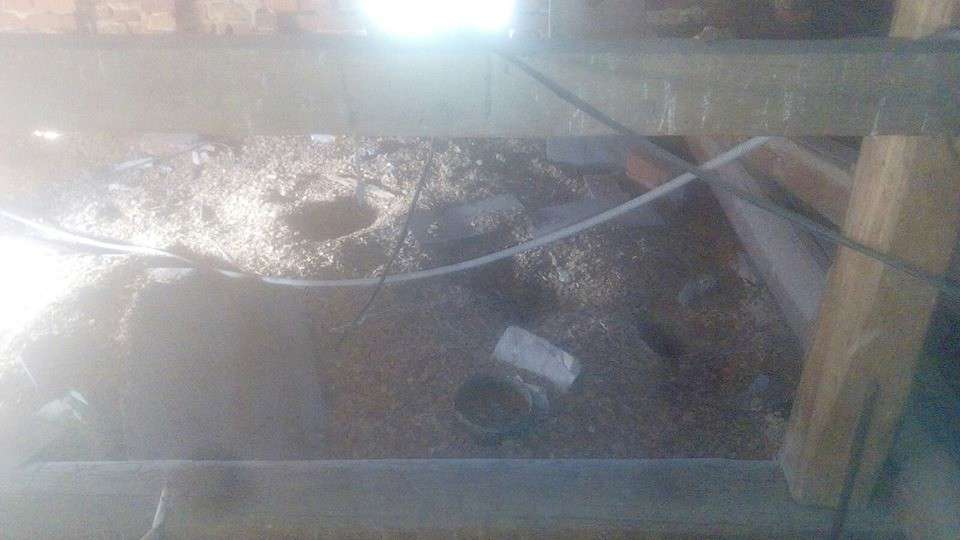 Від Тарнополя до Тернополя