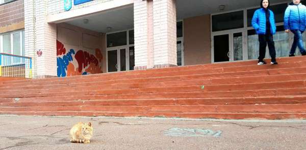 Від Тарнополя до Тернополя