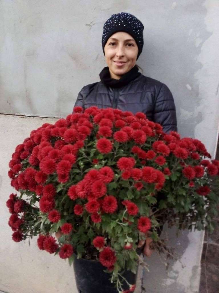 Від Тарнополя до Тернополя