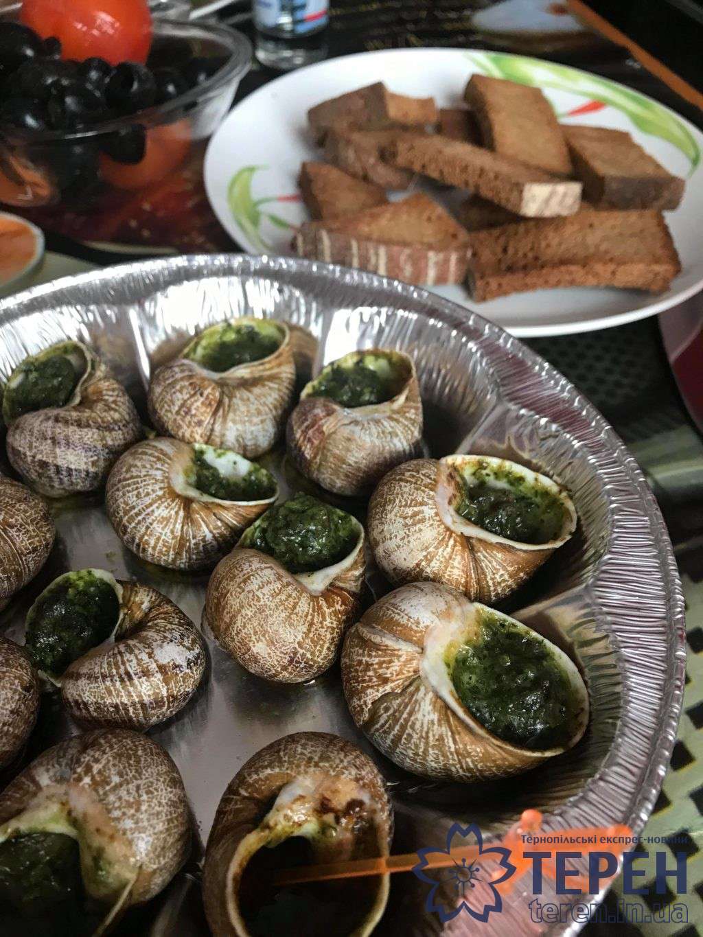 Від Тарнополя до Тернополя