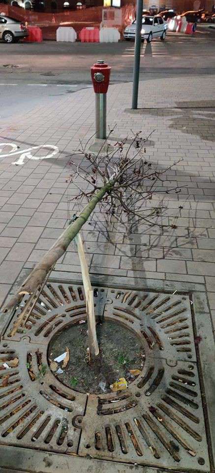 Від Тарнополя до Тернополя