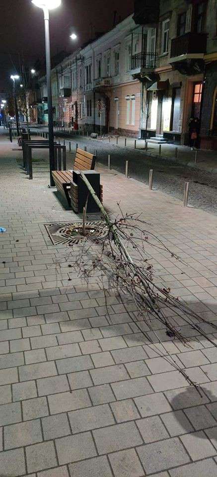 Від Тарнополя до Тернополя