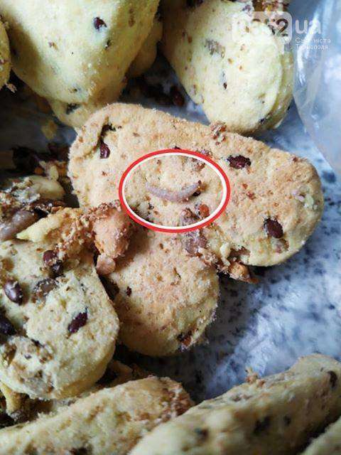 Від Тарнополя до Тернополя