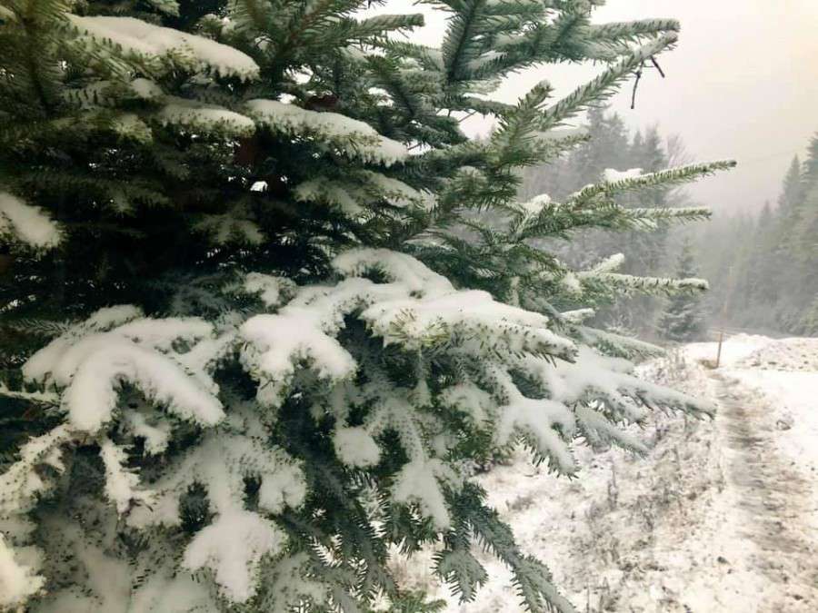 Від Тарнополя до Тернополя